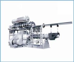 Single-screw Extruder for Aquatic feed